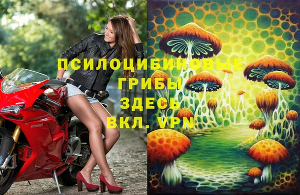 PSILOCYBIN Балабаново