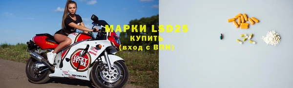 PSILOCYBIN Балабаново