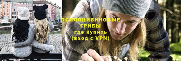 PSILOCYBIN Балабаново