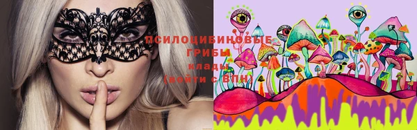 PSILOCYBIN Балабаново