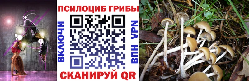 купить наркотики сайты  Свободный  Псилоцибиновые грибы прущие грибы 