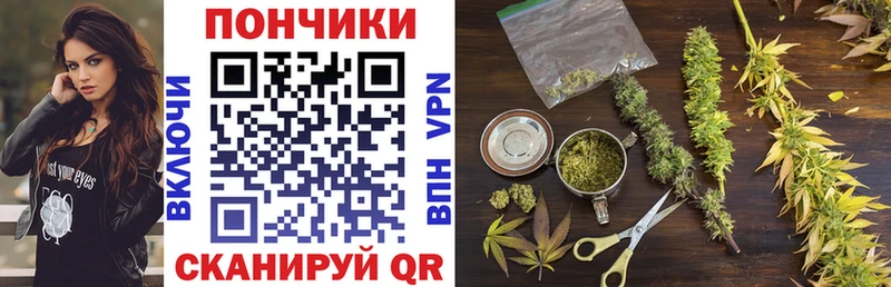 Каннабис семена  закладки  Свободный 